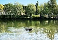 UN’OASI VERDE A LA SORTE, TRA PISTA CICLOPEDONALE, CAMMINAMENTI E FONTANELLE. NOI CI CREDIAMO!