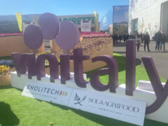 DAL MORO (PD):  VINITALY IL TEMPO DELLE SCELTE