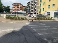 SISTEMATA AIUOLA VICINO A PIAZZALE STEFANI PIÙ DECORO ALL’INGRESSO DELL’OSPEDALE